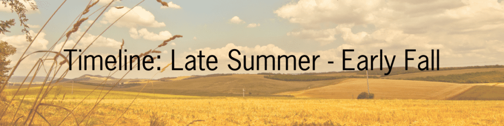 How to prepare before year end giving season header, timeline: late summer - early fall