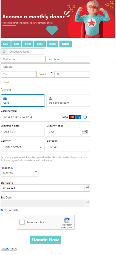 stripedonationform